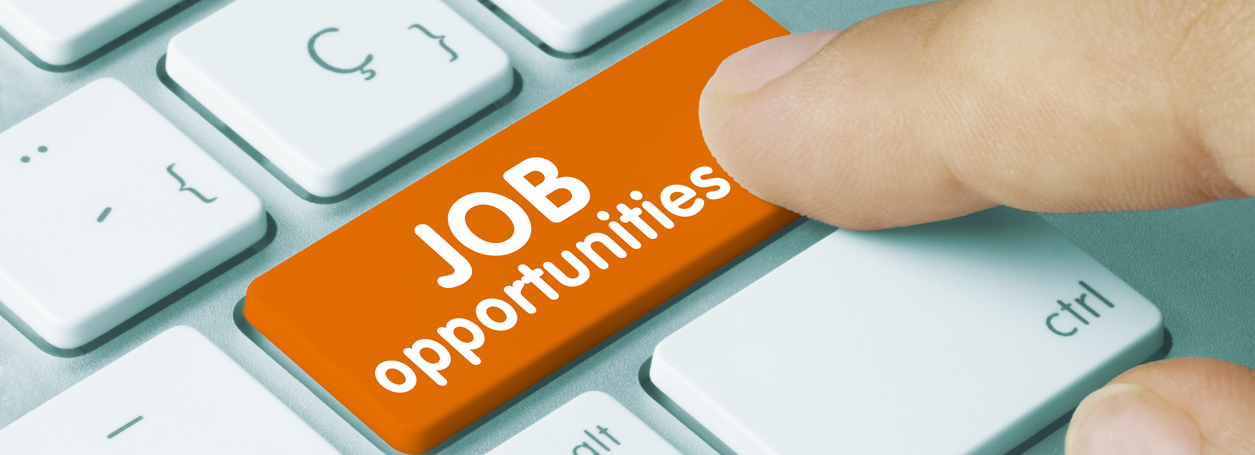 web Employment story