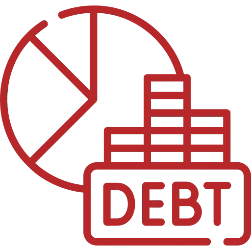 SARS Debt Management